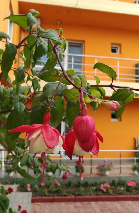 Vila Oranj Hotel Costinesti Buitenkant foto